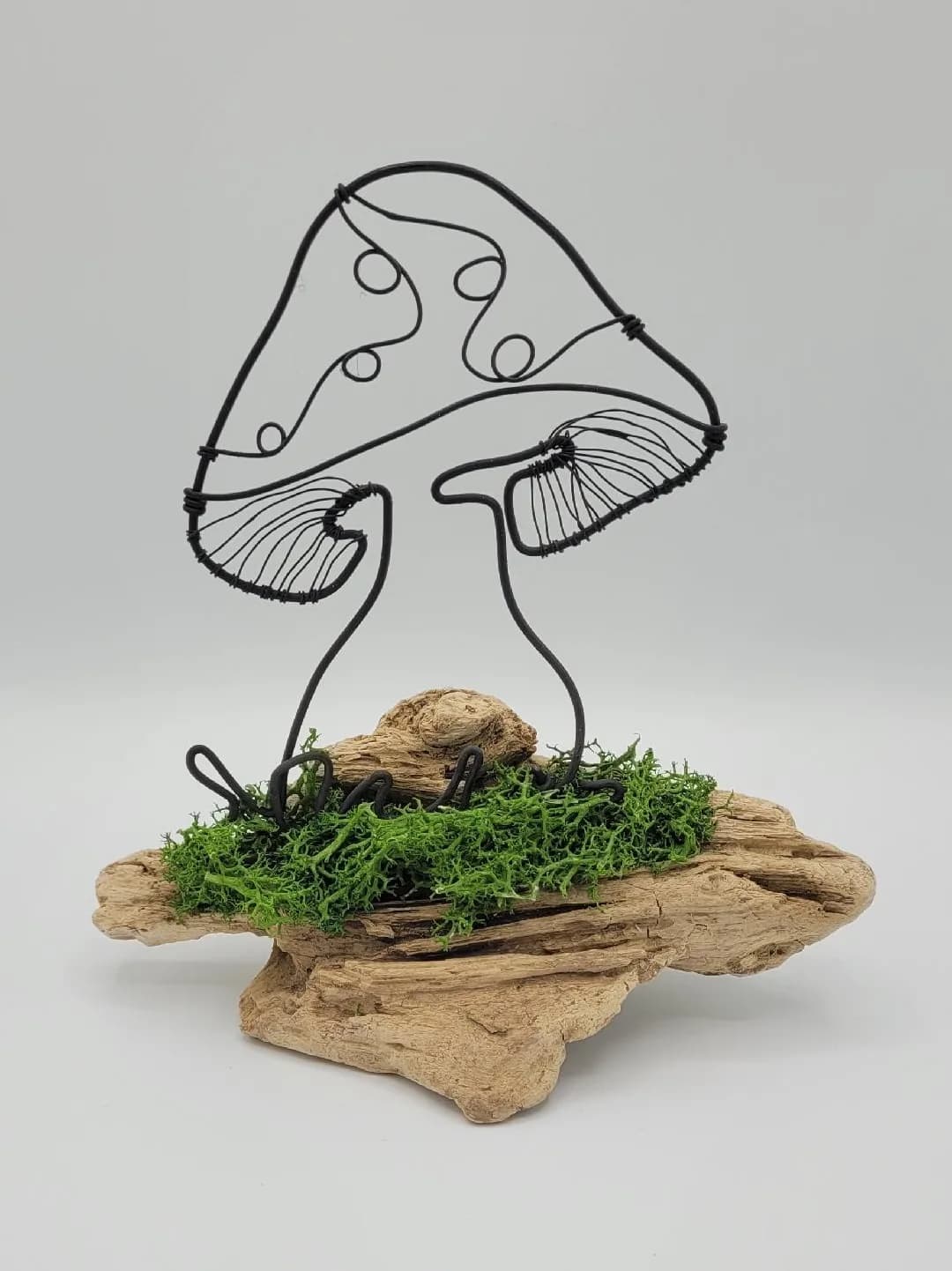 Champignon poétique en fil d'aluminium sur bois flotté — Florifer